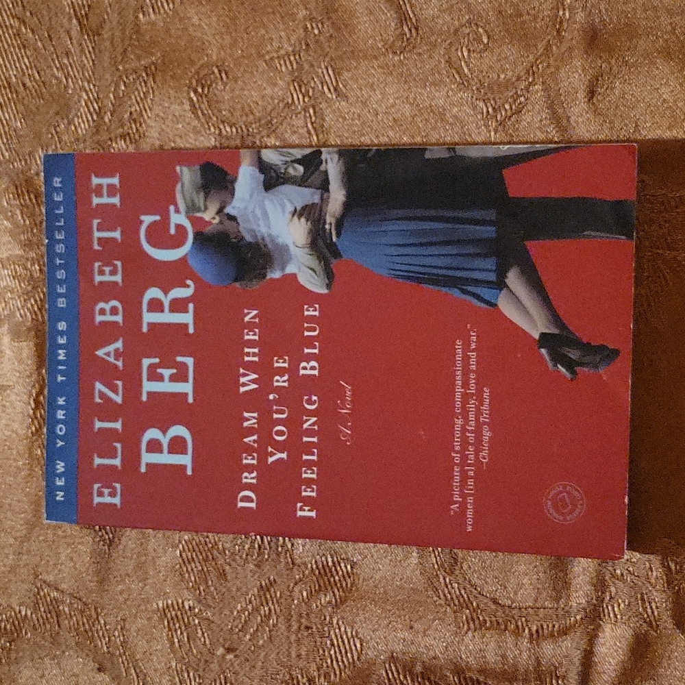Dream When You're Feeling Blue By Elizabeth Berg. Paperback Book